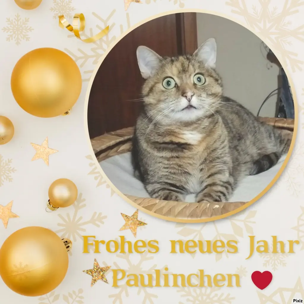 Condolence image of Tanja mit Timmy im Herzen 