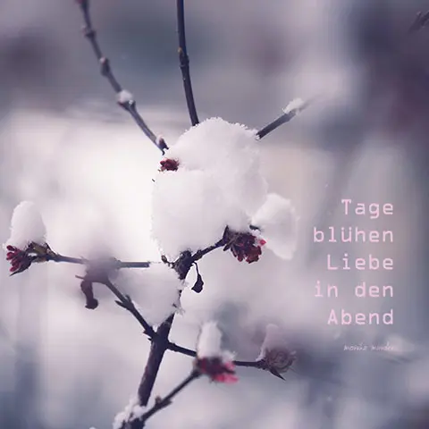 Condolence image of Für Pauline ❤️ und Mama Daniela