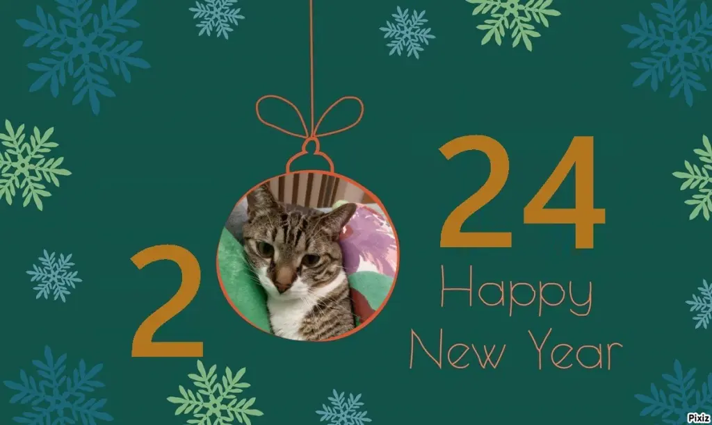 Condolence image of Post von Hillary an Daniela ❤