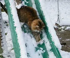 Condolence image of Christie an Pauline ♥