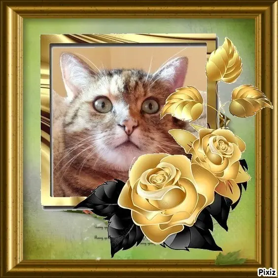 Condolence image of Patricia mit Bunny ❤️ 