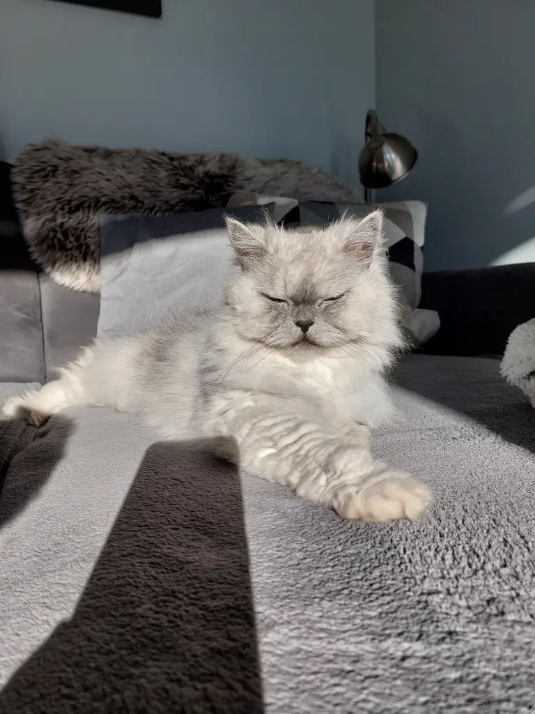 Condolence image of Für mein  geliebtes Engelchen ❤️