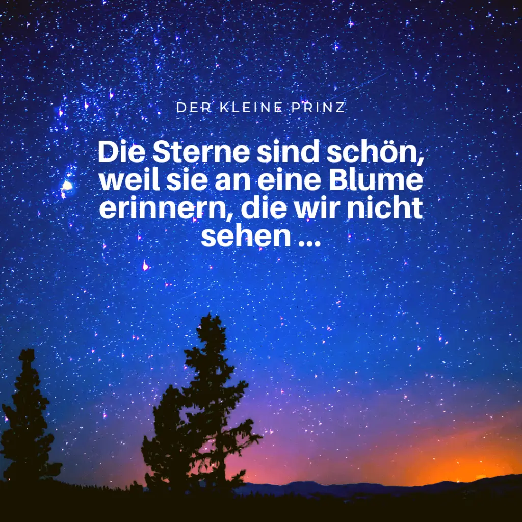 Condolence image of das kleine Sternchen Pauline ♥