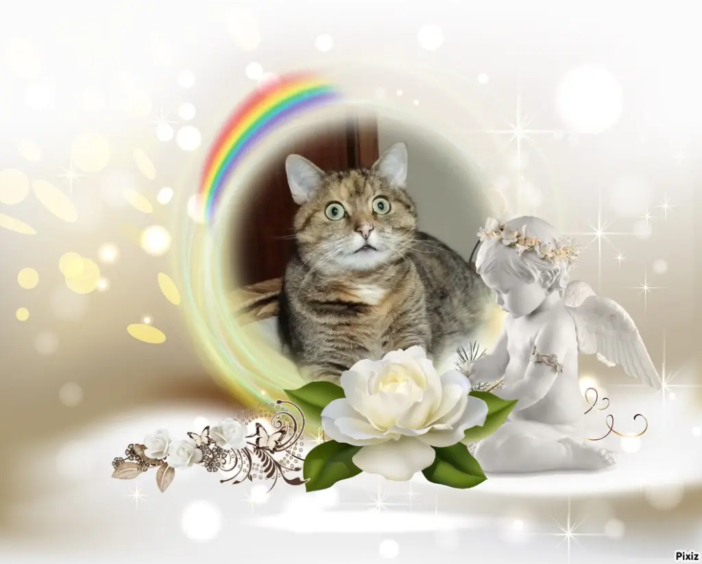 Condolence image of Tanja mit Timmy im Herzen