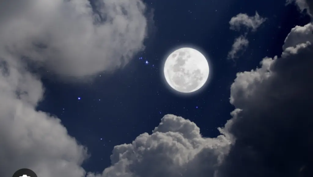 Condolence image of An Pauline und Daniela