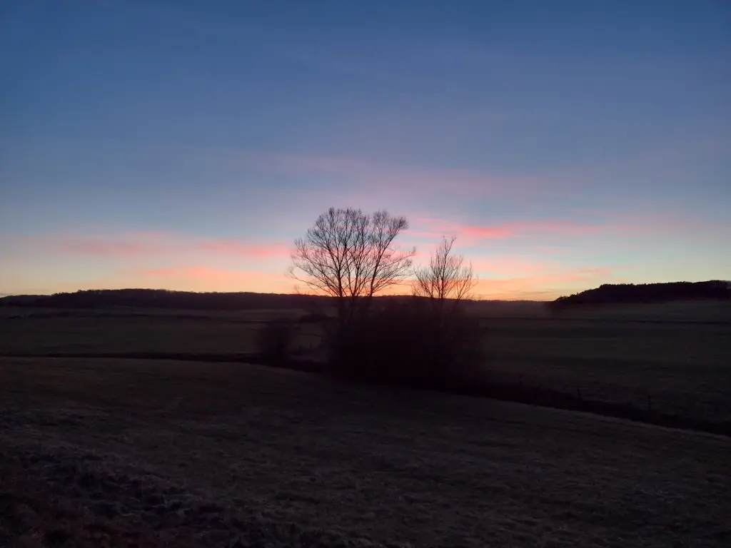 Condolence image of Corinna mit Emma, Jengi, Pummelchen und anderen Sternleine im Herzen