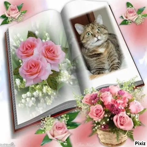 Condolence image of Tanja mit Timmy im Herzen