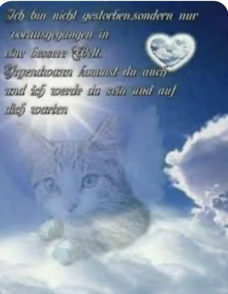 Condolence image of An Paulinchen und Daniela