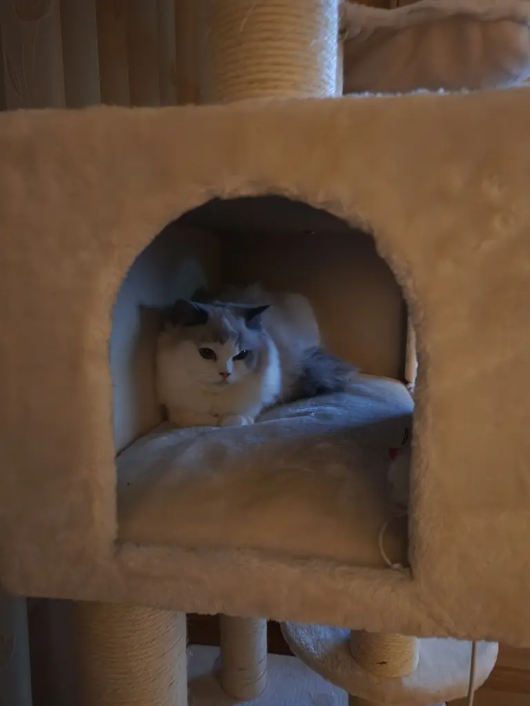 Condolence image of Patricia mit