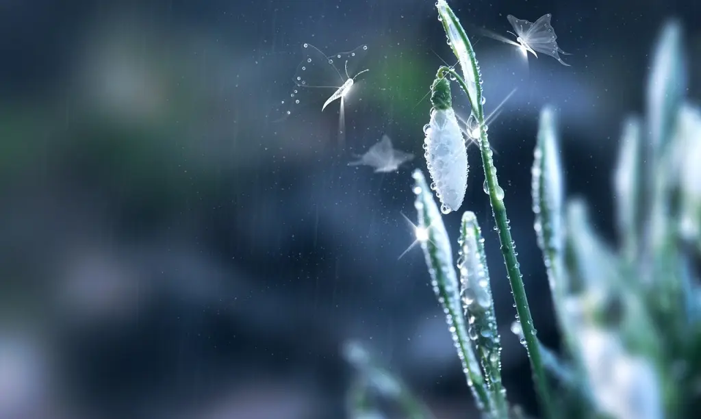 Condolence image of Für Paulinchen ❤️ und Daniela