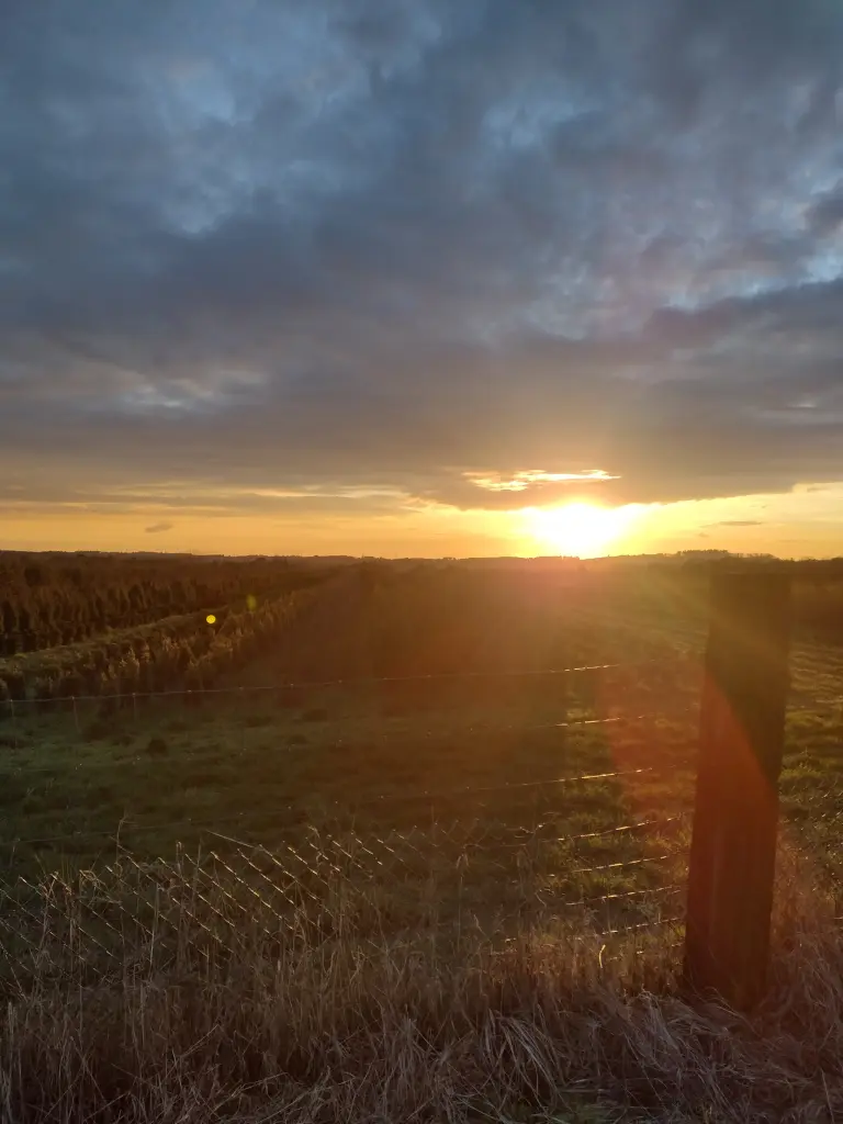 Condolence image of Corinna mit Emma, Jengi, Pummelchen und anderen Sternleine im Herzen