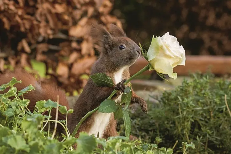 Condolence image of Für Paulinchen ❤️ und Daniela