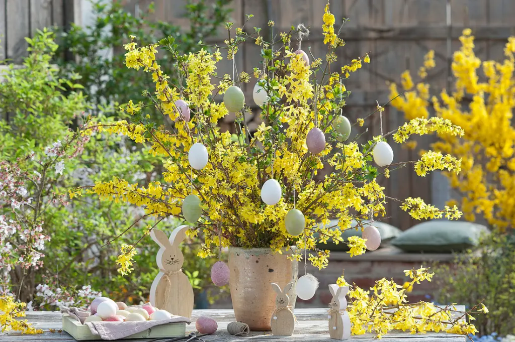 Condolence image of Für Paulinchen ❤️ und Daniela