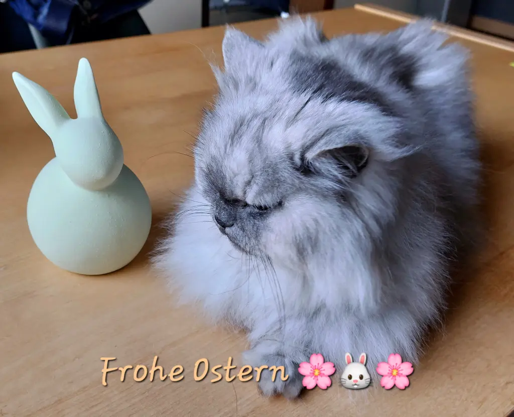 Condolence image of An unseren Schatz  im Himmel ❤️