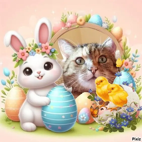 Condolence image of Ostergrüße ❤️