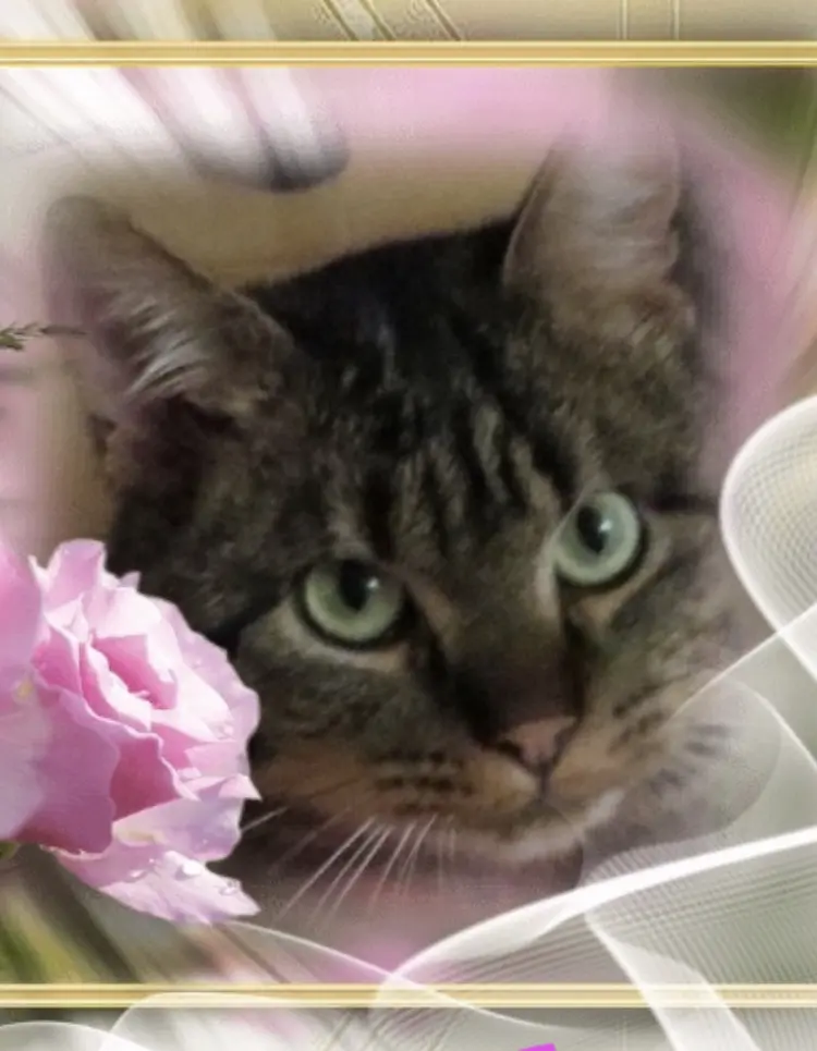 Condolence image of Ravimann und Mama Carmen 