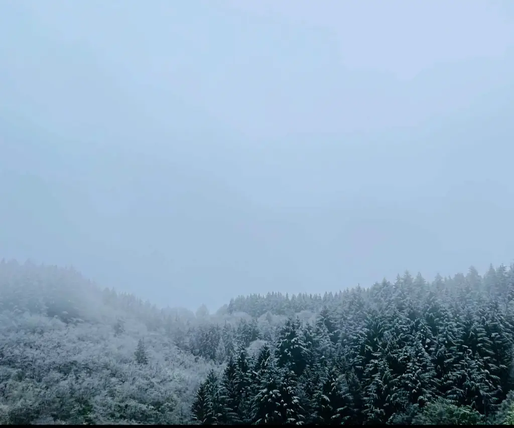 Condolence image of an mein Engelchen  mit dem Tigerfell ❤️