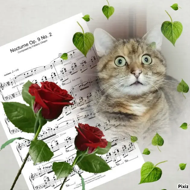 Condolence image of Tanja mit Timmy im Herzen 