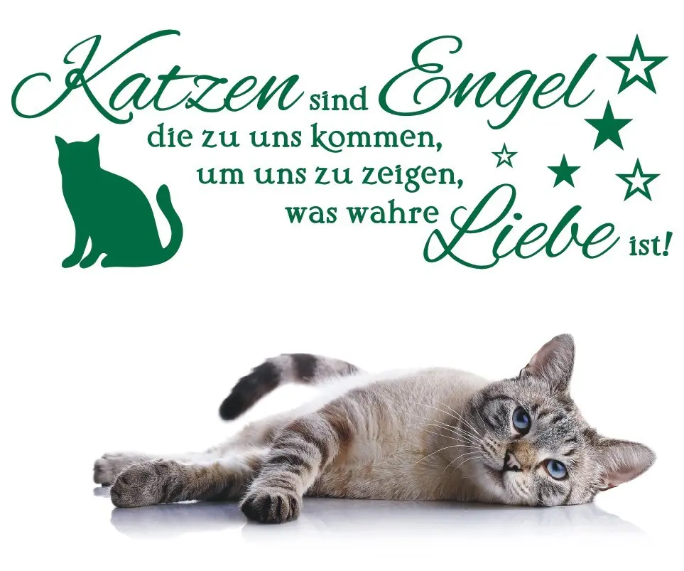 Condolence image of Elisabeth mit Marple, Christie u. Arafat im ♥