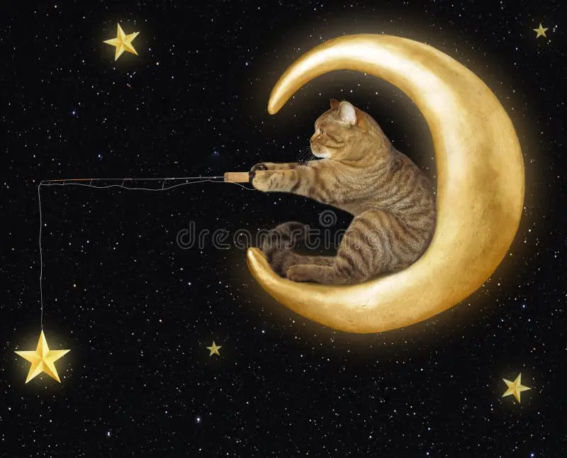 Condolence image of Für Paulinchen ❤️ von Mama Dodo