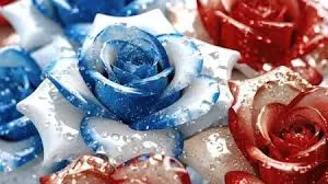 Condolence image of an die Sternenprinzessin Pauline ♥♥♥