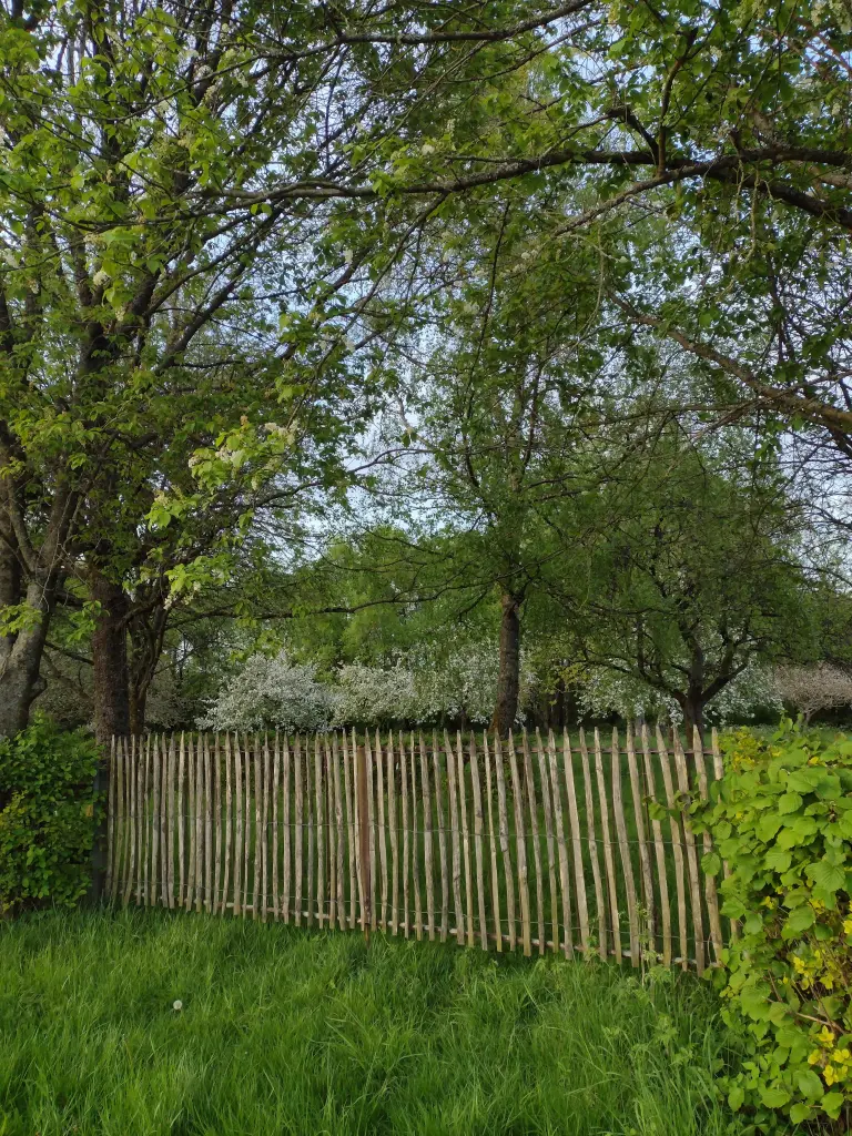 Condolence image of Corinna mit Emma, Jengi, Pummelchen und anderen Sternleine im Herzen