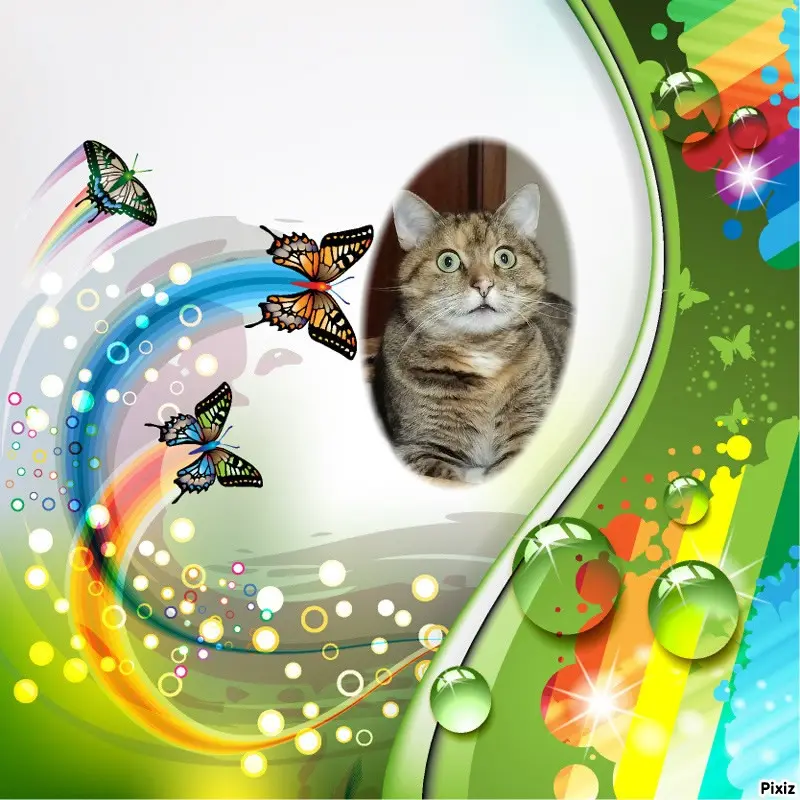 Condolence image of Tanja mit Timmy im Herzen 