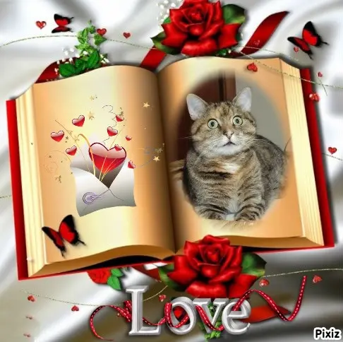 Condolence image of Tanja mit Timmy im Herzen 