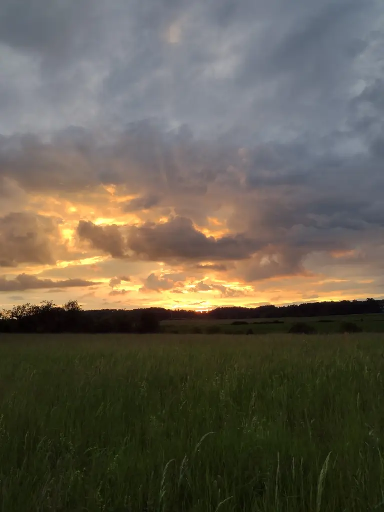 Condolence image of Corinna mit Emma, Jengi, Pummelchen und anderen Sternleine im Herzen