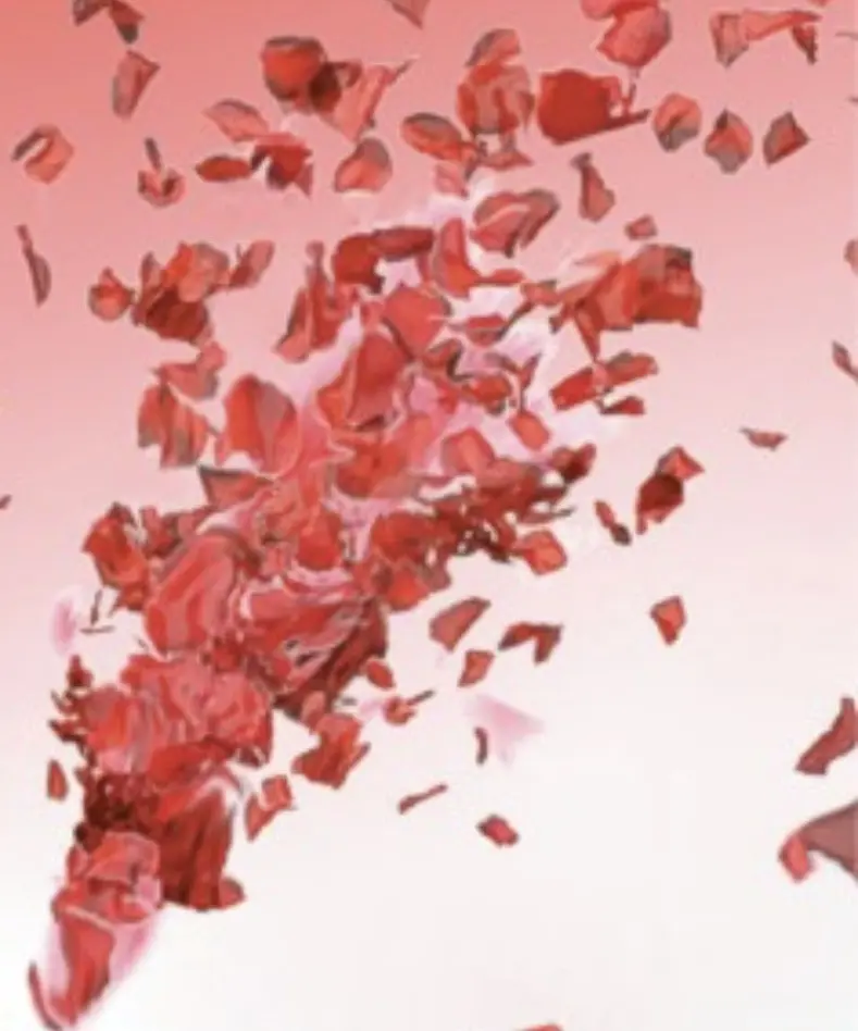 Condolence image of An Paulinchen und Daniela