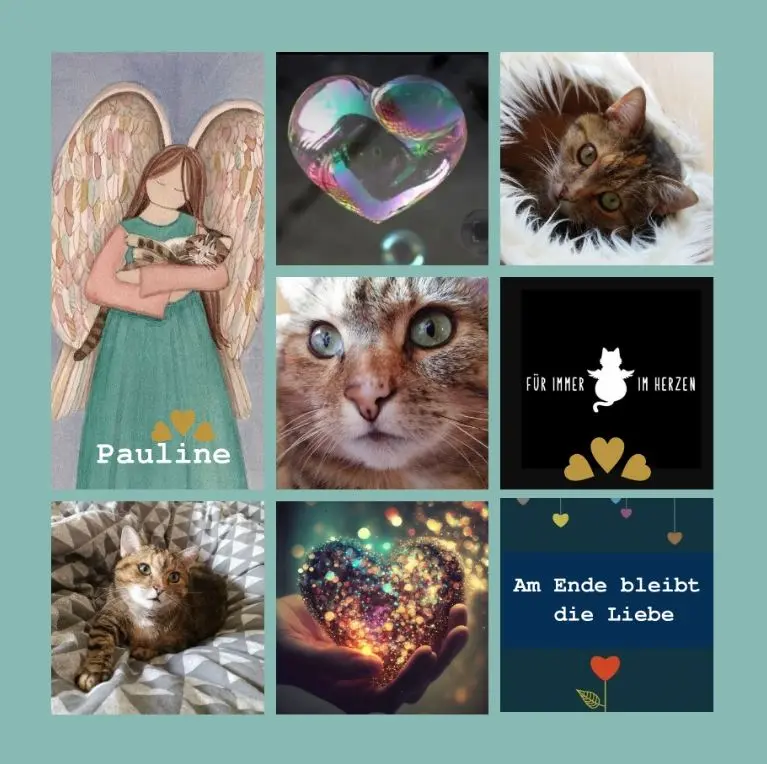 Condolence image of Rosen zum 4. Sternchengeburtstag von Paulinchen