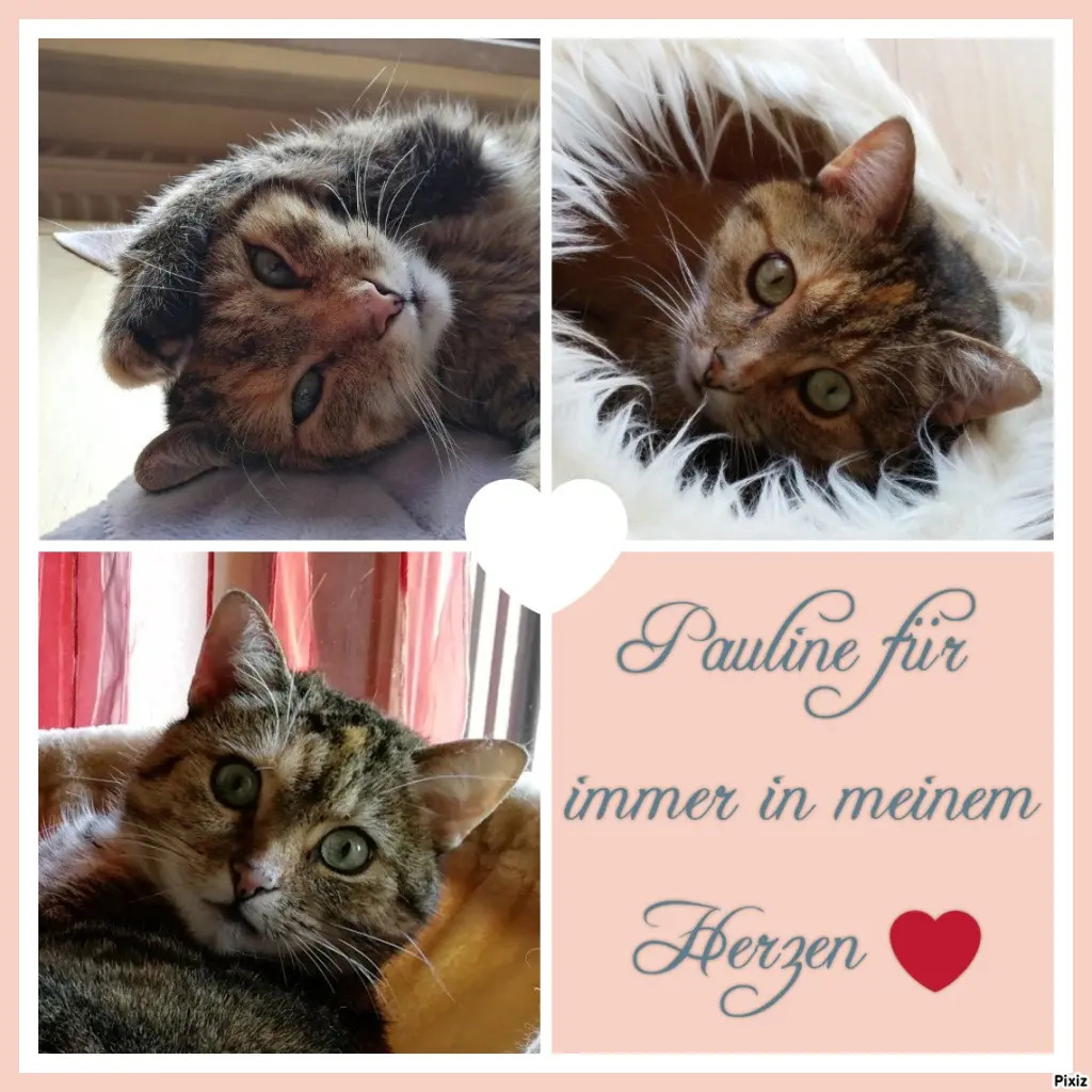 Condolence image of Drei Jahre ohne dich ❤️ und doch immer mit dir ❤️❤️❤️