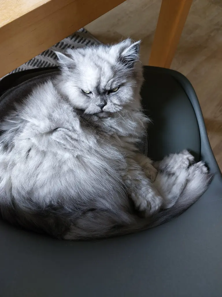 Condolence image of Ein Himmelsgruß ❤️