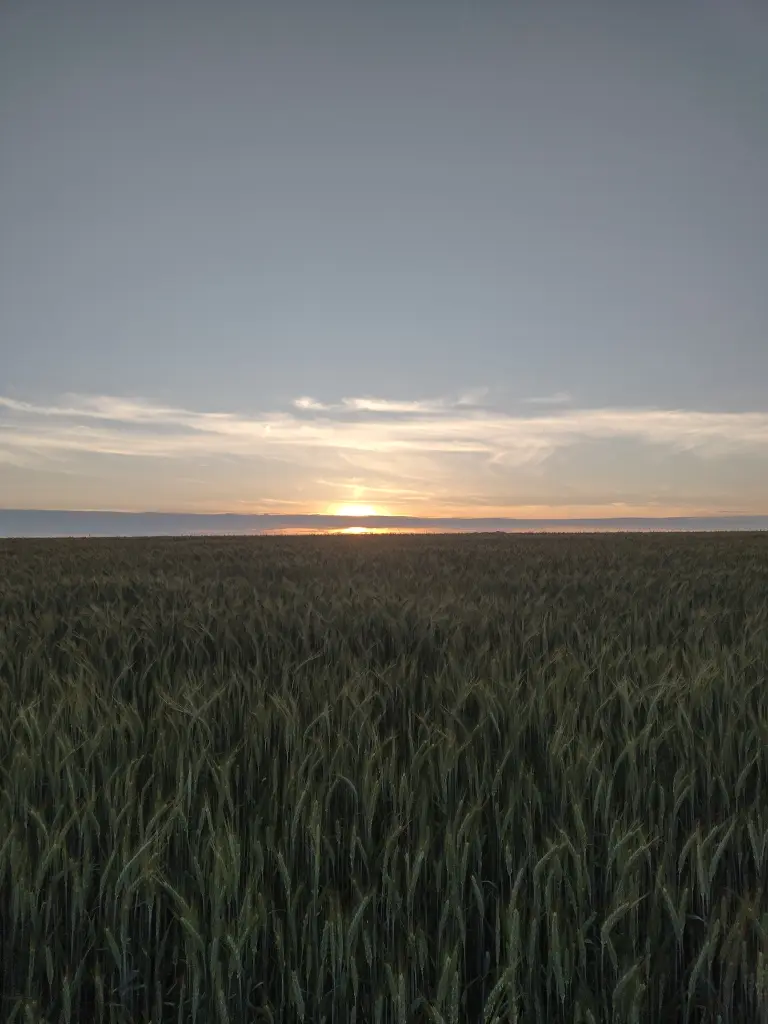 Condolence image of Corinna mit Emma, Jengi, Pummelchen und anderen Sternleine im Herzen
