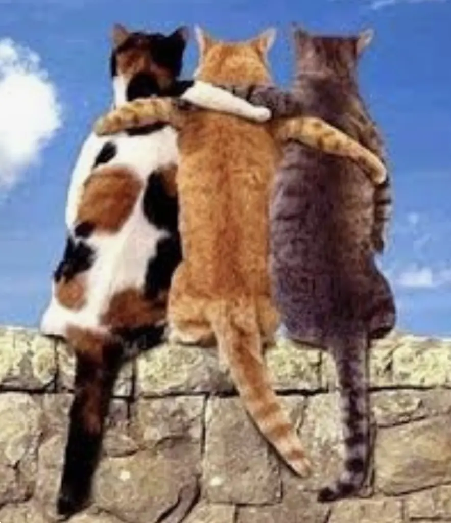 Condolence image of An Paulinchen