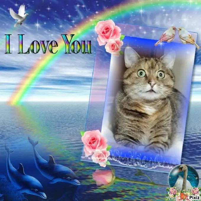 Condolence image of Tanja mit Timmy im Herzen 