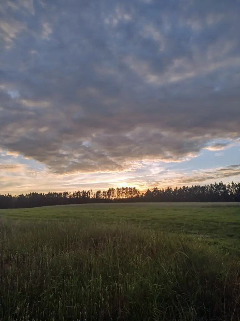Condolence image of Corinna mit Emma, Jengi, Pummelchen und anderen Sternleine im Herzen