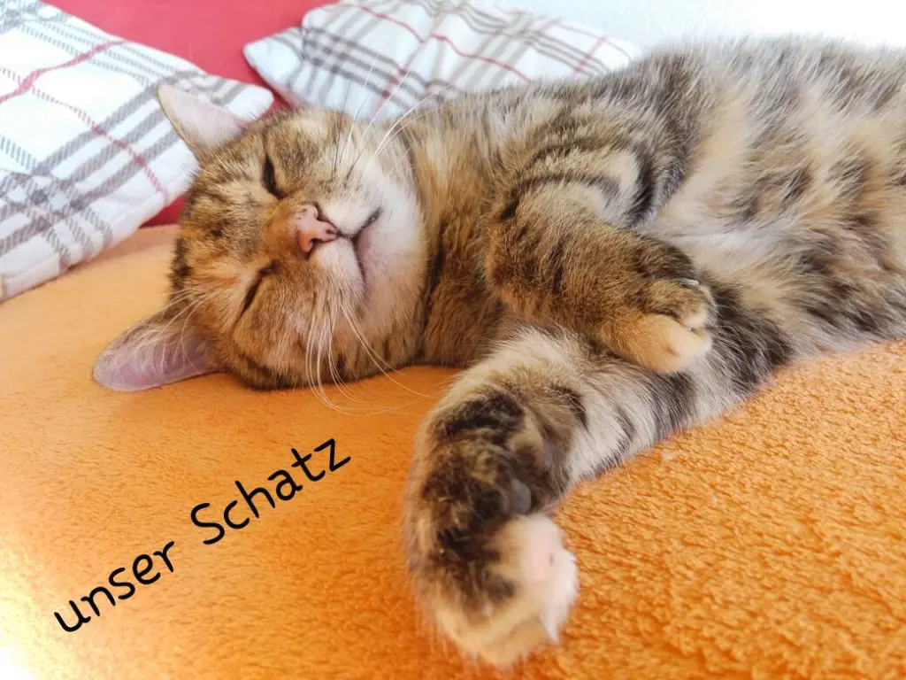 Condolence image of Ich habe dich so lieb ❤️