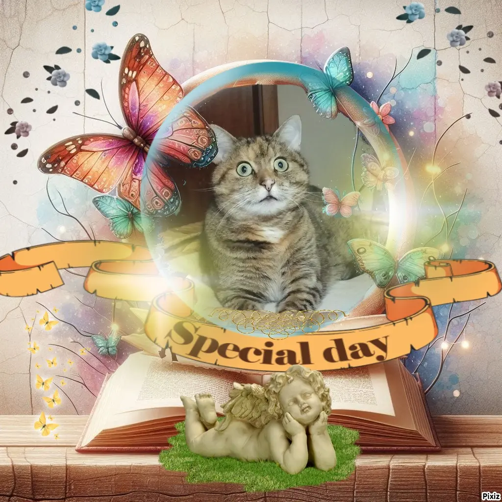 Condolence image of Tanja mit Timmy im Herzen 