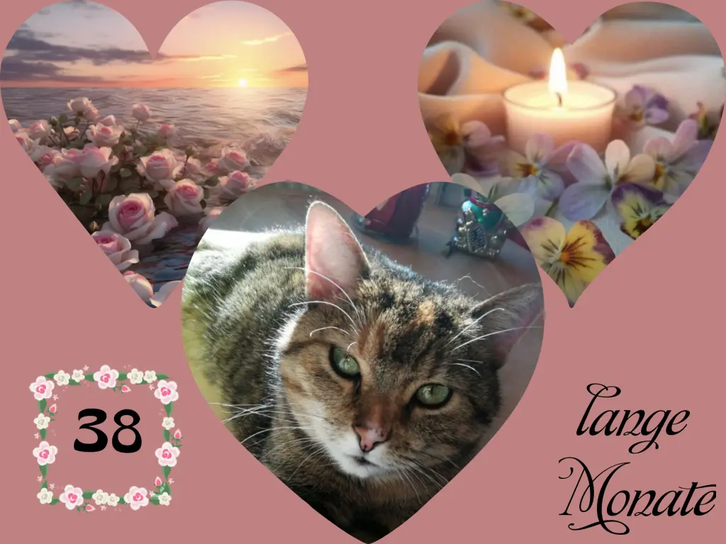 Condolence image of Corinna mit Emma, Pummelchen und anderen Sternleine im Herzen