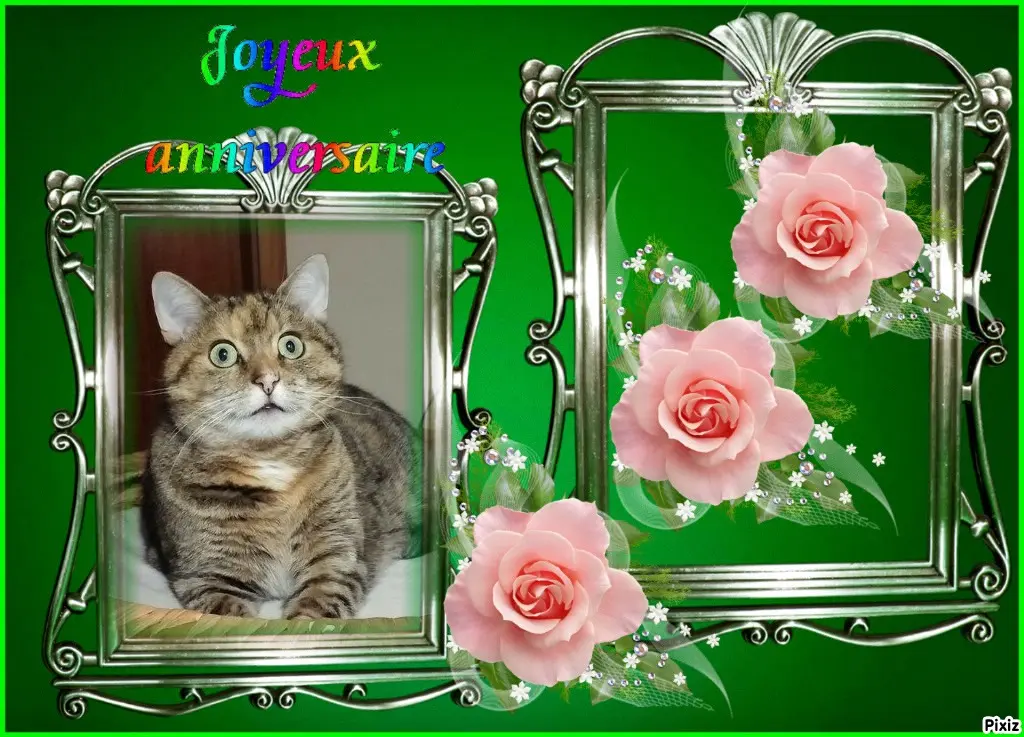 Condolence image of Tanja mit Timmy im Herzen