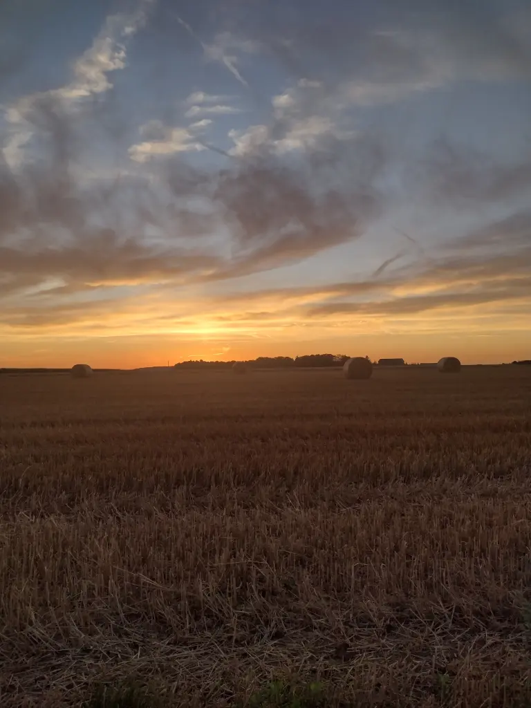 Condolence image of Corinna ♥️