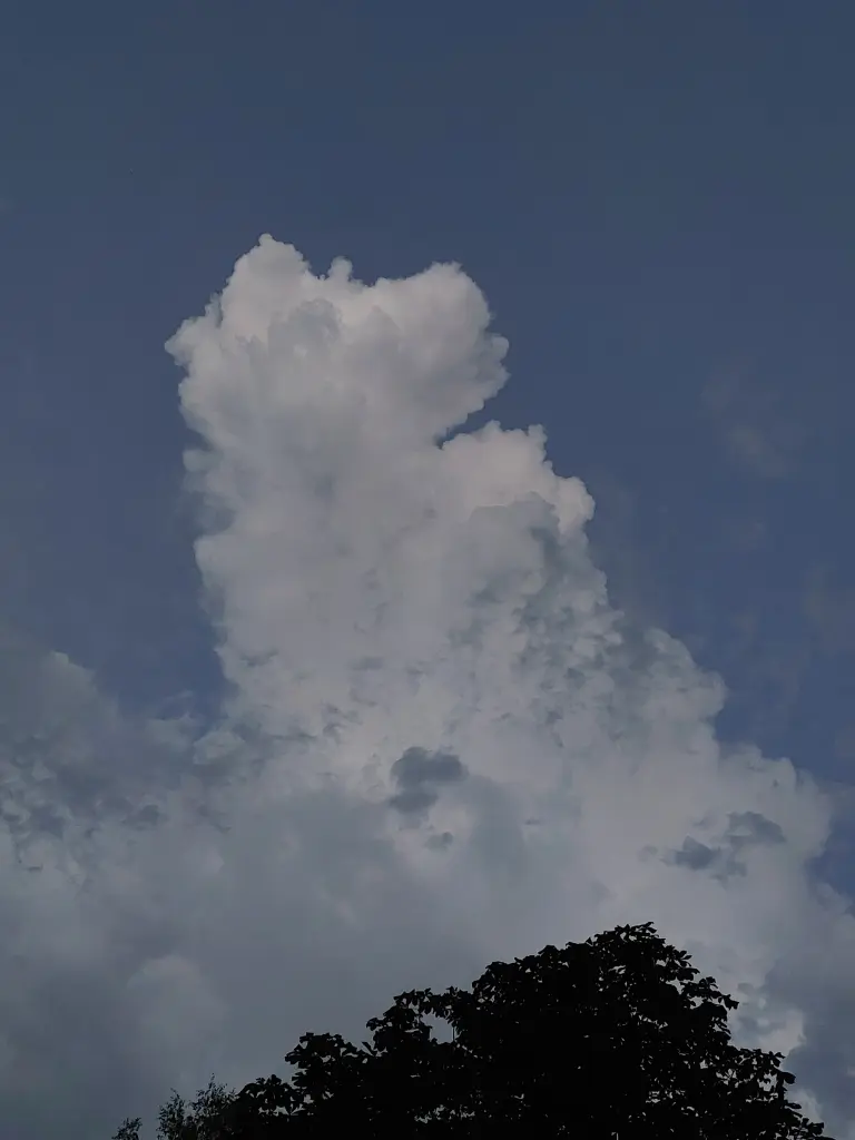 Condolence image of An mein Paulinchen ❤️