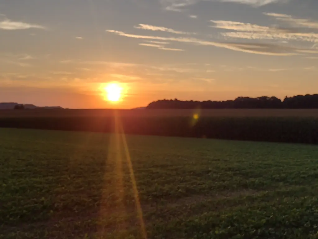 Condolence image of Corinna ❤️