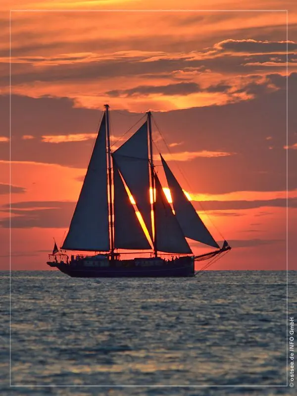 Condolence image of für unsere Freundin Pauline ♥♥♥