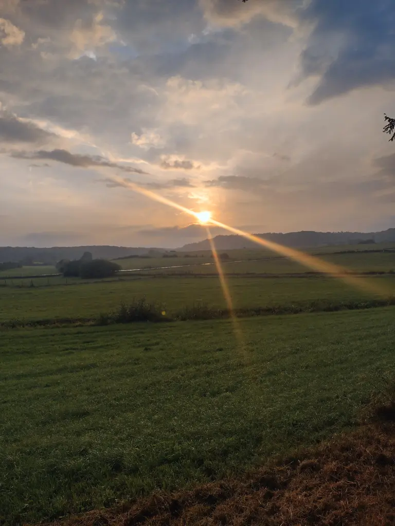 Condolence image of Corinna ❤️