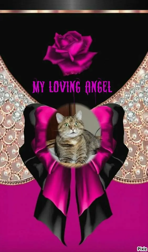 Condolence image of Tanja mit Timmy im Herzen 