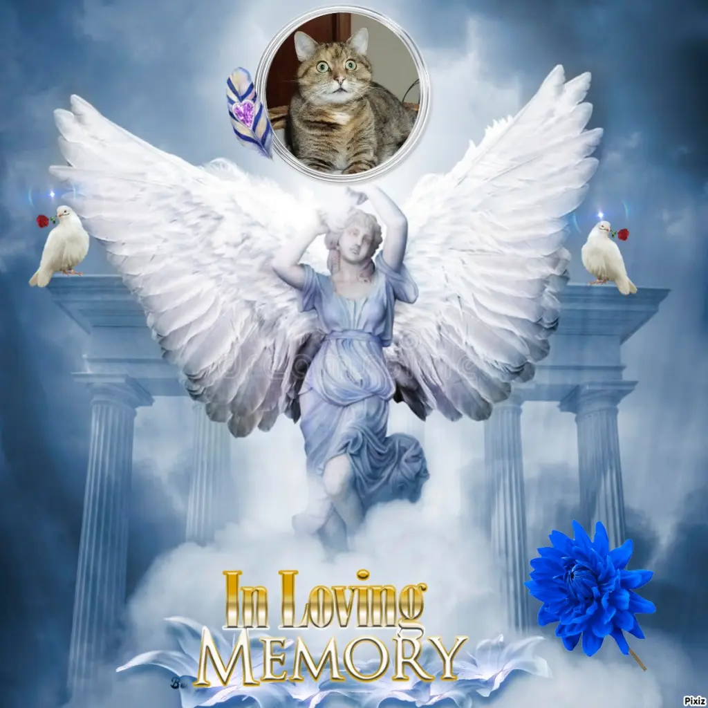 Condolence image of Tanja mit Timmy im Herzen 