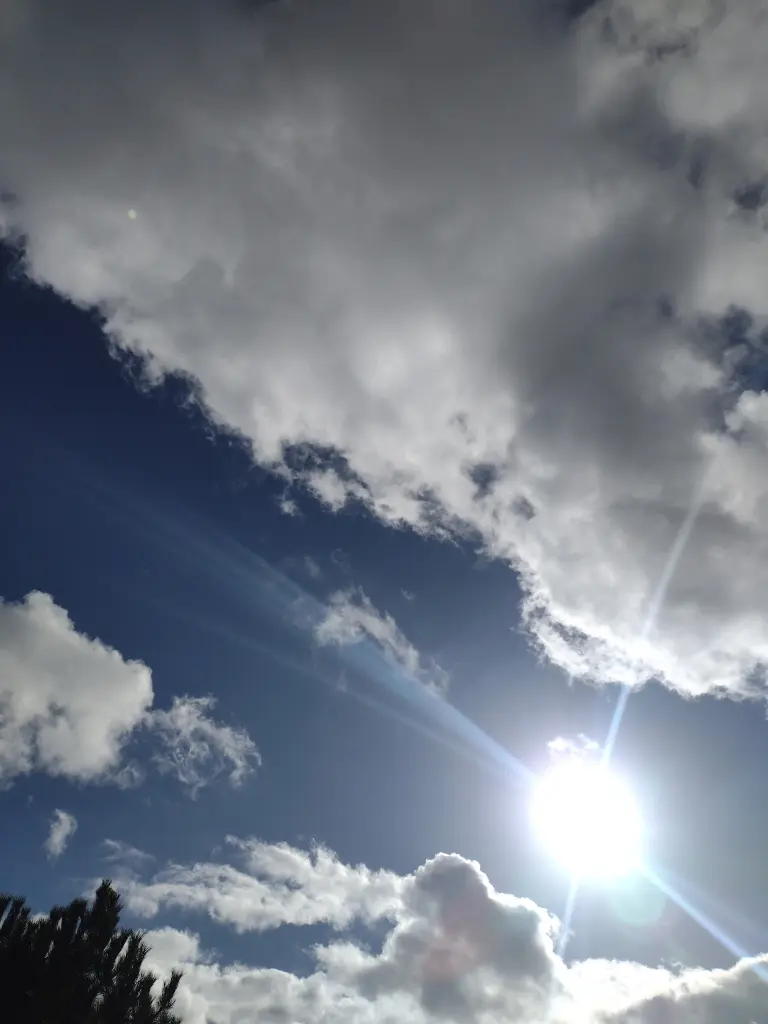 Condolence image of Corinna mit Emma, Vinni-Ved,Jengi, Blacky, Pummelchen und anderen Sternleine im Herzen