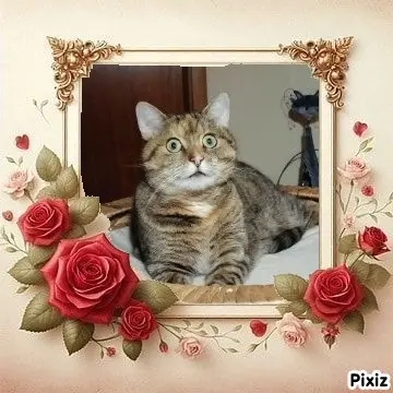 Condolence image of Tanja mit Timmy im Herzen 